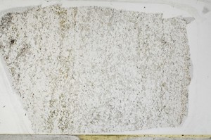 Plane Polarized, S65514