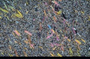 Cross Polarized, S65516