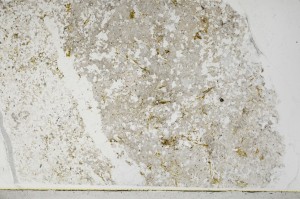 Plane Polarized, S65518