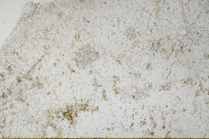 Plane Polarized, S65520