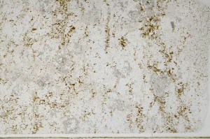 Plane Polarized, S65521