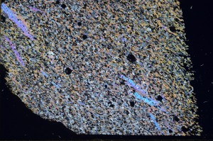 Cross Polarized, S65522