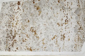 Plane Polarized, S65527