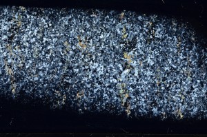 Cross Polarized, S65528