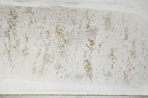 Plane Polarized, S65528