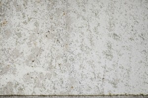 Plane Polarized, S65541