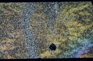 Cross Polarized, S65542