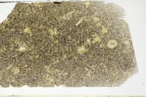 Plane Polarized, S65556