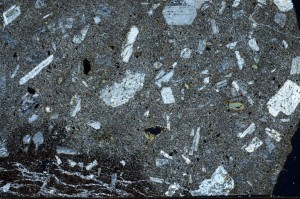 Cross Polarized, S65557