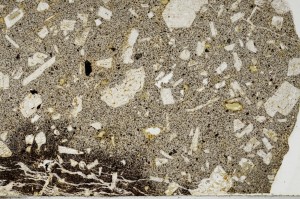 Plane Polarized, S65557