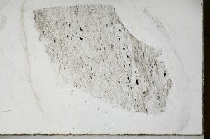 Plane Polarized, S65576