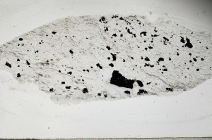 Plane Polarized, S65577
