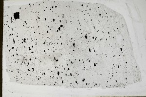Plane Polarized, S65578