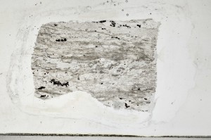 Plane Polarized, S65580