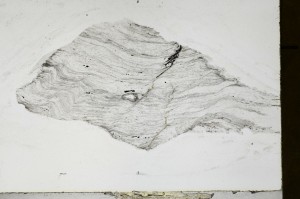 Plane Polarized, S65588