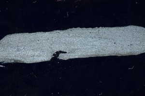 Cross Polarized, S65629