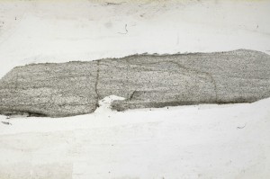 Plane Polarized, S65629