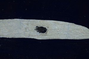 Cross Polarized, S65630