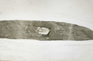 Plane Polarized, S65630