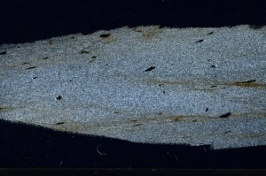 Cross Polarized, S65632