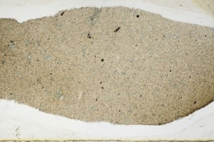 Plane Polarized, S65638