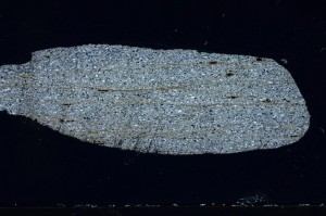 Cross Polarized, S65640