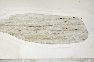 Plane Polarized, S65640