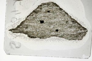 Plane Polarized, S65642/A