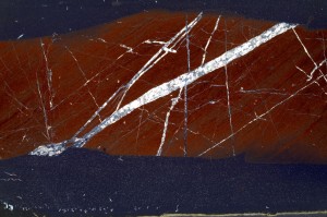 Cross Polarized, S65664