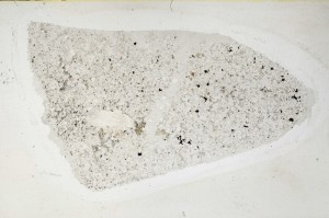 Plane Polarized, S65675