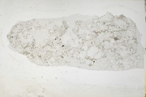 Plane Polarized, S65676