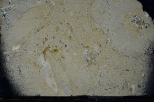 Cross Polarized, S65678