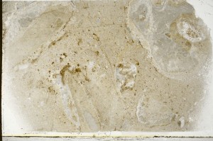 Plane Polarized, S65678