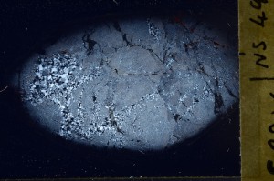 Cross Polarized, S65680