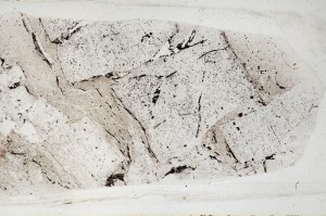 Plane Polarized, S65681