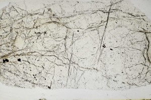 Plane Polarized, S65683