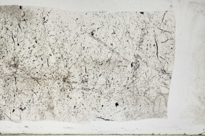 Plane Polarized, S65684