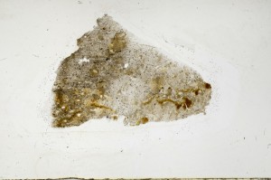 Plane Polarized, S65690