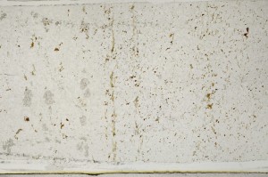 Plane Polarized, S65711
