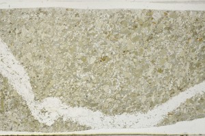 Plane Polarized, S65713