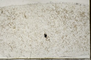 Plane Polarized, S65714
