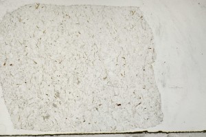 Plane Polarized, S65716