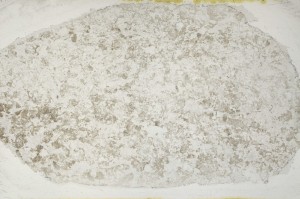 Plane Polarized, S65717