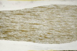 Plane Polarized, S65720
