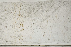 Plane Polarized, S65723