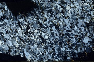 Cross Polarized, S65744