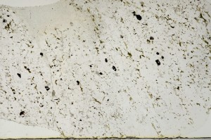 Plane Polarized, S65744