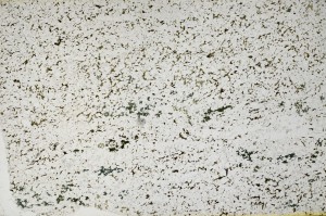 Plane Polarized, S65766