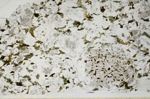 Plane Polarized, S65782