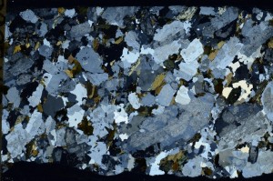 Cross Polarized, S65783